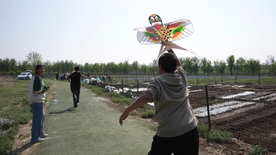 田地里举着风筝的人