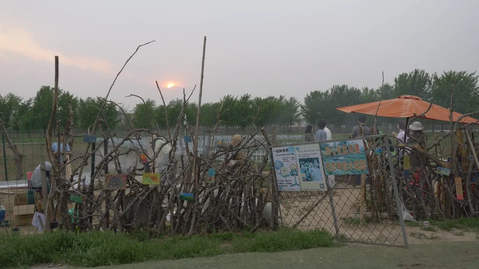 夕阳下的菜地与棚屋