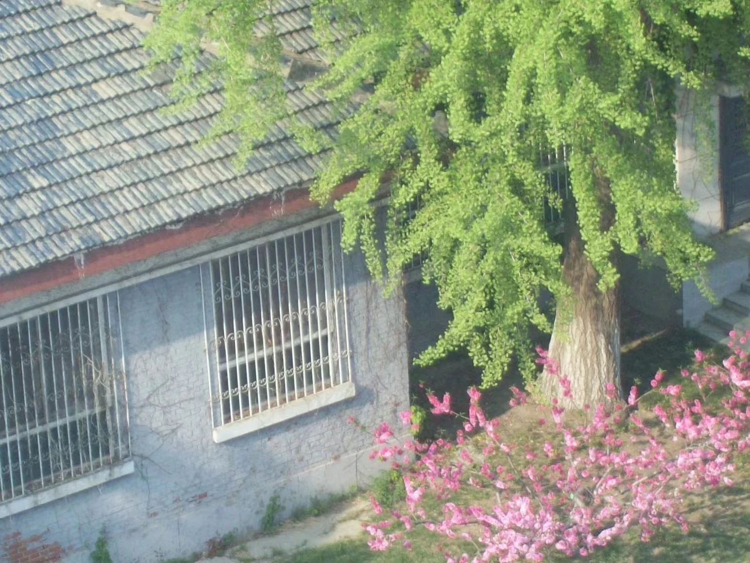 春夏秋冬 · 01
